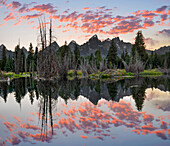 Mountain range reflected in pond, Grand Tetons, Grand Teton National Park, Wyoming