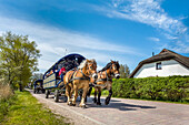 Horse carriage, Vitte, Hiddensee island, Mecklenburg-Western Pomerania, Germany
