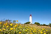 Lighthouse, Dornbusch, Hiddensee island, Mecklenburg-Western Pomerania, Germany