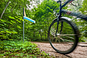 Lyonel-Feininger-cycling trail, Usedom island, Mecklenburg-Western Pomerania, Germany