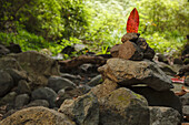 cairn, laurel leaf, hiking trail, hiking,laurel forest, Barranco de la Galga, gorge, east slope of Caldera de Taburiente, Parque Natural de las Nieves, UNESCO Biosphere Reserve, La Palma, Canary Islands, Spain, Europe