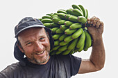 worker, banana plantation, Punta Cumplida, b. Barlovento, coast, Atlantic, near Barlovento, UNESCO Biosphere Reserve, La Palma, Canary Islands, Spain, Europe