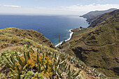 north coast, Atlantic, near Mirador de los Topos nearby El Tablado, UNESCO Biosphere Reserve, La Palma, Canary Islands, Spain, Europe