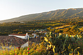 San Antonio del Monte mit Wallfahrtskirche, Region Garafia, UNESCO Biosphärenreservat,  La Palma, Kanarische Inseln, Spanien, Europa