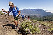 hiking, group, ascent to Birigoyo mountain, 1807m,  Parque Natural de Cumbre Vieja, UNESCO Biosphere Reserve, La Palma, Canary Islands, Spain, Europe