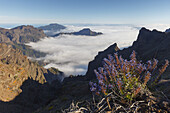 Blick in den Krater, bei Pico de la Cruz, Kraterrand, Caldera de Taburiente, Parque Nacional de la Caldera de Taburiente, Nationalpark, UNESCO Biosphärenreservat, La Palma, Kanarische Inseln, Spanien, Europa