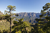 Wanderung zum Pico Bejenado, Berg 1844m, Kraterrand der Caldera de Taburiente, Parque Nacional de la Caldera de Taburiente, Nationalpark, UNESCO Biosphärenreservat,  La Palma, Kanarische Inseln, Spanien, Europa