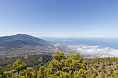 hiking tour to Pico Bejenado, mountain, 1844m, crater rim of  Caldera de Taburiente, Parque Nacional de la Caldera de Taburiente, National Park, UNESCO Biosphere Reserve, La Palma, Canary Islands, Spain, Europe