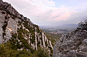 Under Montagne Ste. Victoire near Puyloubier, Provence, France