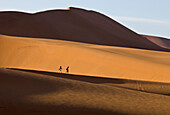 Tourists hiking among tall sand dunes, Sossusvlei, Namib-Naukluft National Park, Namibia