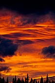Cumulus clouds at sunset in autumn, Upper Gnat Lake, British Columbia, Canada