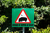 Hippopotamus (Hippopotamus amphibius) at night warning sign, KwaZulu-Natal, South Africa
