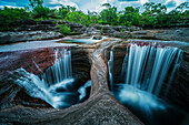 Riverweed (Macarenia clavigera) in river with waterfall, Cano Cristales, Sierra De La Macarena National Park, Meta, Colombia