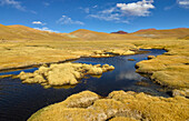 River in puna, San Antonio de los Cobres, Argentina