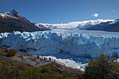 Terminal moraine, Perito Moreno Glacier, Los Glaciares National Park, Andes, Patagonia, Argentina
