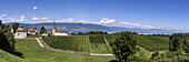 Weinberge am Neuenburger See, Kapelle von Font, Westschweiz, Kanton Freiburg, Schweiz