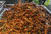 Street Vendor selling fried insects on Khao San Road, Bangkok, Thailand