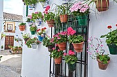 Flowerpots in Barrio de la Villa (old quarter), Priego de Cordoba, Sierra de la Subbetica, Route of the Caliphate, Cordoba province, Andalusia, Spain.