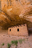 Doll House Ruin, Cedar Mesa, Bears Ears National Monument, Utah