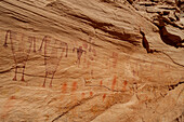 Petroglyphs made by Ancestral Puebloans, Birthing Panel, Grand Gulch, Cedar Mesa, Bears Ears National Monument, Utah