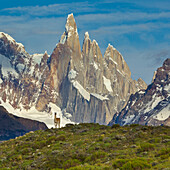 Guanaco (Lama guanicoe) near mountains, Cerro Torre, Los Glaciares National Park, Patagonia, Argentina
