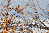 Langhe, Cuneo district, Piedmont, Italy. Langhe wine region winter snow, Serralunga d’Alba castle