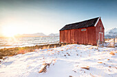 The typical red house on the beach during winter sunset, Nordmannvik, Kafjord, Lyngen Alps, Tromso, Norway, Europe
