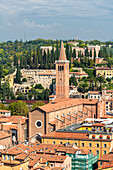 High angle view of Sant'Anastasia cathedral. Verona, Veneto, Italy