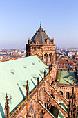 Notre Dame of Strasbourg district, Alsatian, Grand Est, Bas-Rhin, France