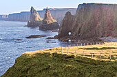 UK, Scotland, Duncansby Stacks