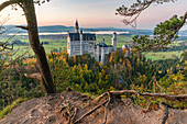 Neuschwanstein castle at dusk with tree and roots in the foreground. Schwangau, Schwaben, Bavaria, Germany.