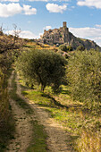 Path among the trees down the hilltop ghost town of Craco, Matera Province, Basilicata, Italy