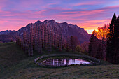 Autumnal sunset at the Cattedrale Vegetale monument at Plassa hamlet, Oltre il Colle, Val Serina, Bergamo district, Lombardy, Italy.