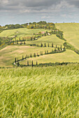 Tuscany, provence of Siena, La Foce at Tuscany hills, Italy