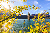 Bell tower of semi submerged church in Lake Resia (Reschensee), Curon Venosta, province of Bolzano, South Tyrol, Italy