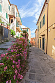 Alley in the old town, Poggio, Marciana, Elba Island, Livorno Province, Tuscany, Italy