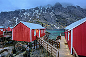 Fisherman´s cabins in Nusfjord at dusk, Nusfjord, Lofoten, Nordland, Norway