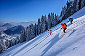 Three persons backcountry skiing descending from Wildalpjoch, Wildalpjoch, Bavarian Alps, Upper Bavaria, Bavaria, Germany