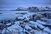 Vereiste Felsen am Strand mit verschneiten Bergen im Hintergrund, Lofoten, Nordland, Norwegen