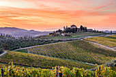Farmhouse surrounded by vineyards at sunrise. Gaiole in Chianti, Siena province, Tuscany, Italy.