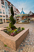 Flowerbed and carousel in Colmar square, Colmar, Haut-Rhin department, Grand Est region, Alsace, France