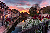 Petit Venice at sunset, Colmar, Haut-Rhin department, Grand Est region, Alsace, France