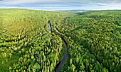 River running through taiga, Economy River, Cobequid Mountains, Nova Scotia, Canada
