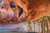 Hole in rock cliff, Golden Cathedral in Neon Canyon, Grand Staircase-Escalante National Monument, Utah