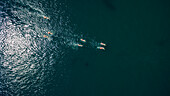 aerial view of a group of seven girls swimming in the deep blue waters of the Ligurian sea with the sun reflecting on the surface, close to Paraggi, Italy