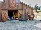 Wrangler leading horse to barn at ranch, Montana, USA
