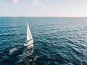 Aerial view of a sailboat in open seas