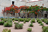 Museo de las Culturas at Iglesia Santo Domingo, Oaxaca, Mexico