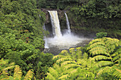 Hawaii, Big Island, Hilo, Rainbow Falls