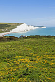 England, East Sussex, South Downs National Park, The Seven Sisters Cliffs and Skyline viewed from Seaford Head